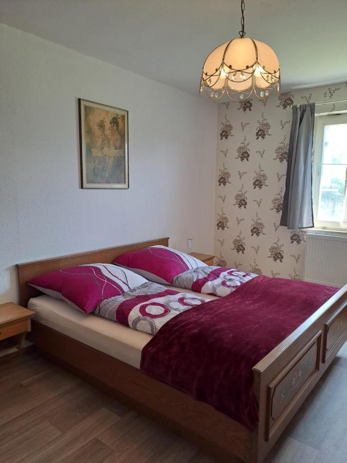 Keller'S Ferienwohnung An Der Saale Schwarzenbach an der Saale Eksteriør billede
